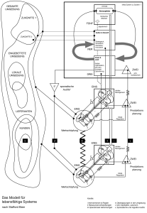 Viable System Model