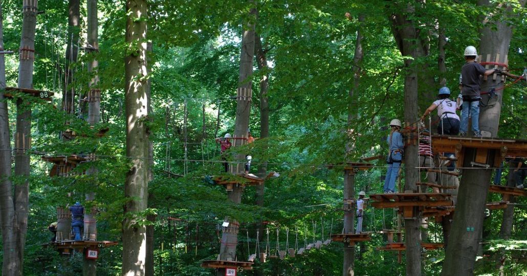 Hochseilgarten-1030x690